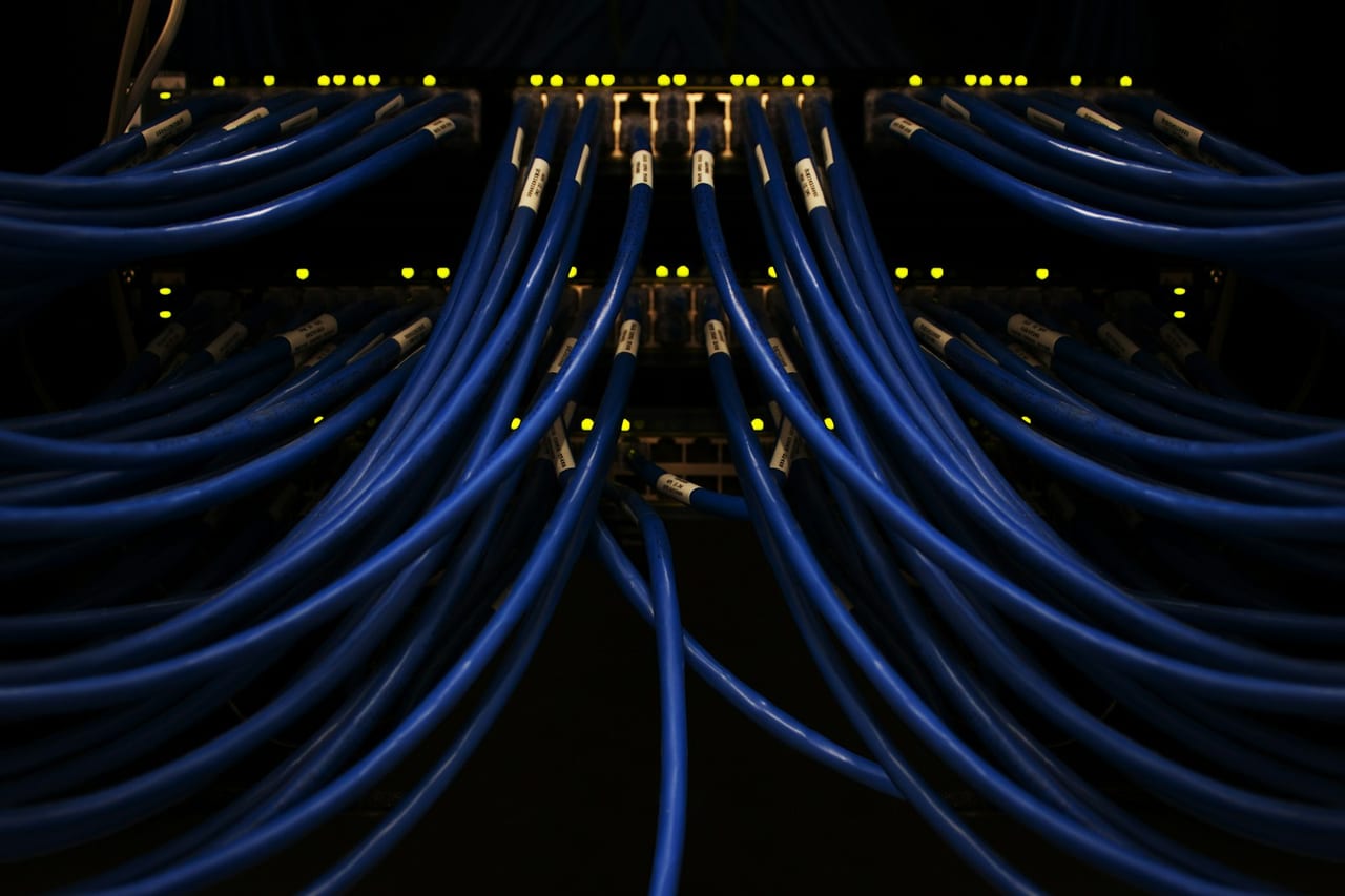 Close-up of blue Ethernet cables plugged into a network switch, with status lights illuminated.